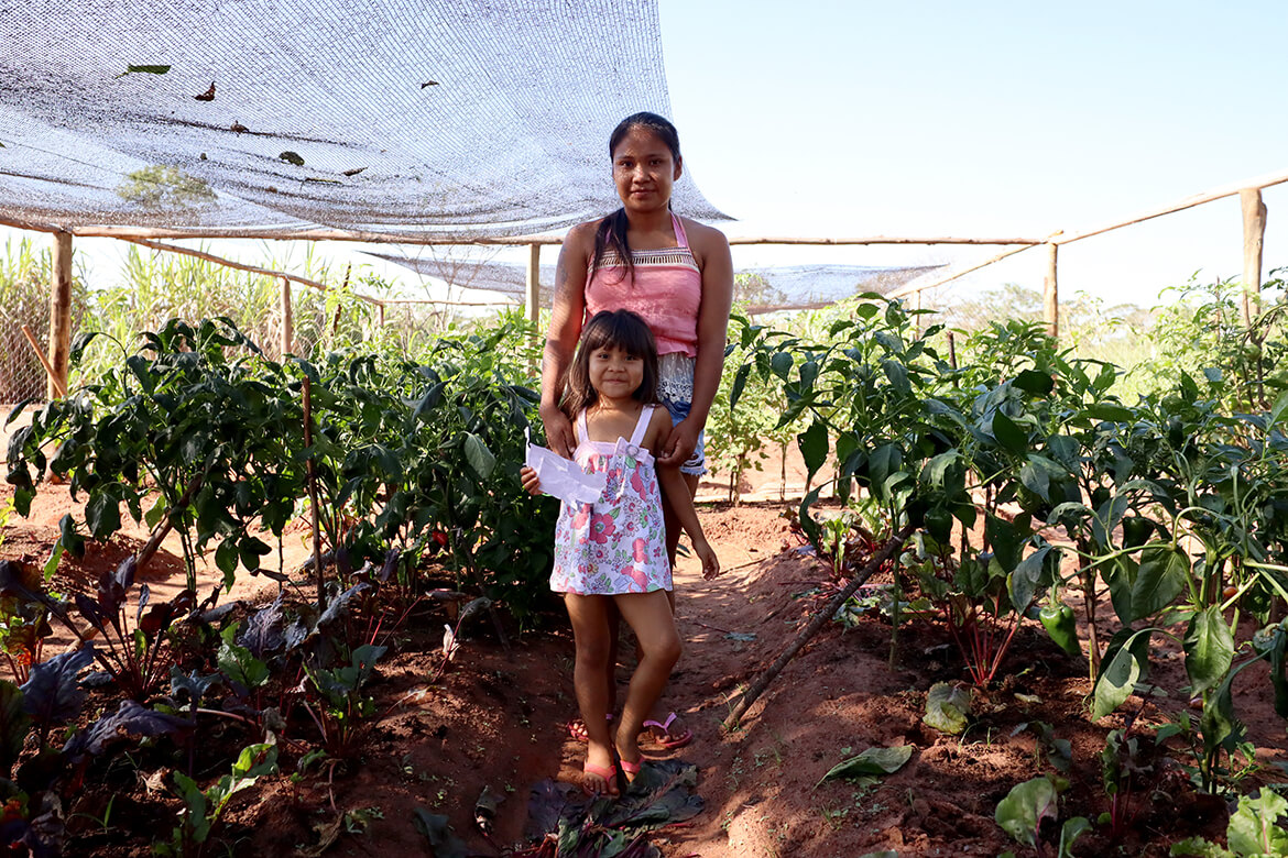 Roçados e quintais produtivos fortalecem a alimentação das famílias Avá Guarani no oeste do Paraná 4 4