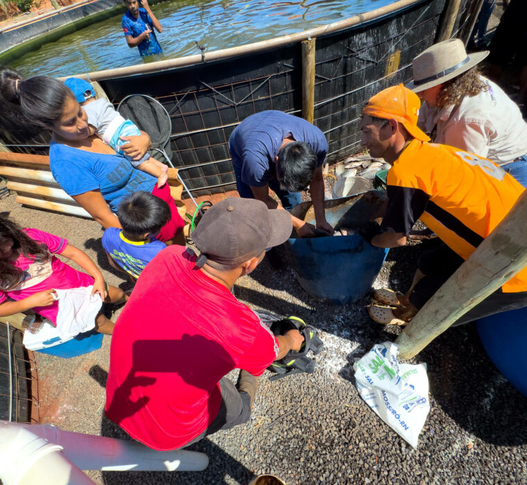 DESPESCA ATY MIRI-12 DESPESCA ATY MIRI 12