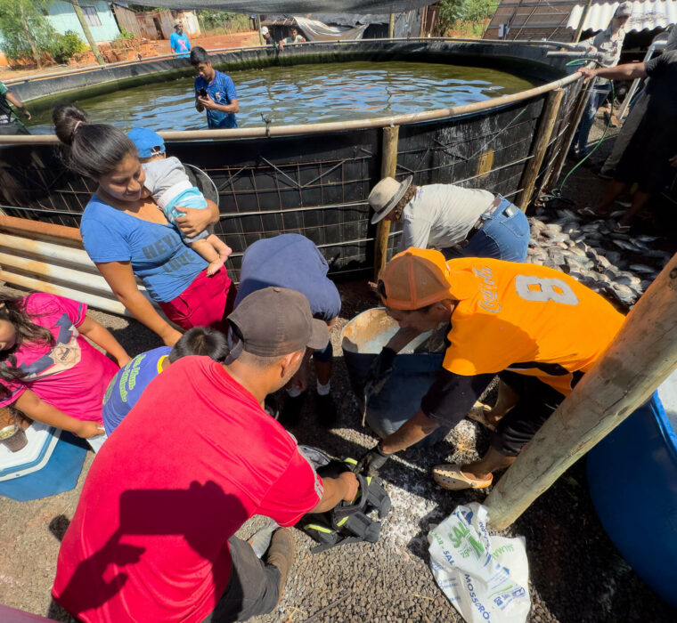 DESPESCA ATY MIRI-17 DESPESCA ATY MIRI 17