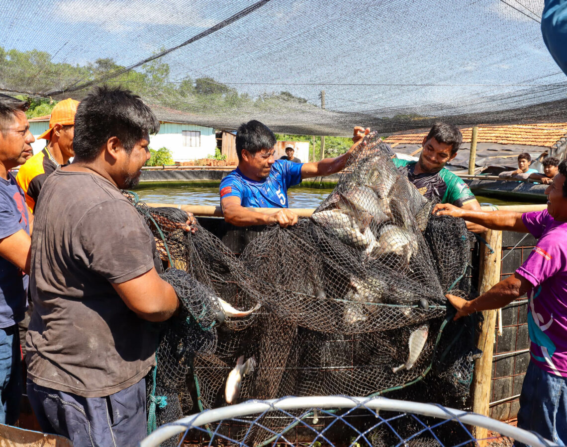 Comunidade Avá Guarani realiza manejo sustentável de piscicultura em tanque elevado no oeste do Paraná 1 DESPESCA ATY MIRI 9