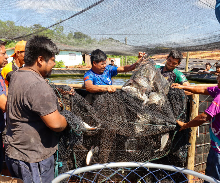 Avá Guarani e o manejo da piscicultura