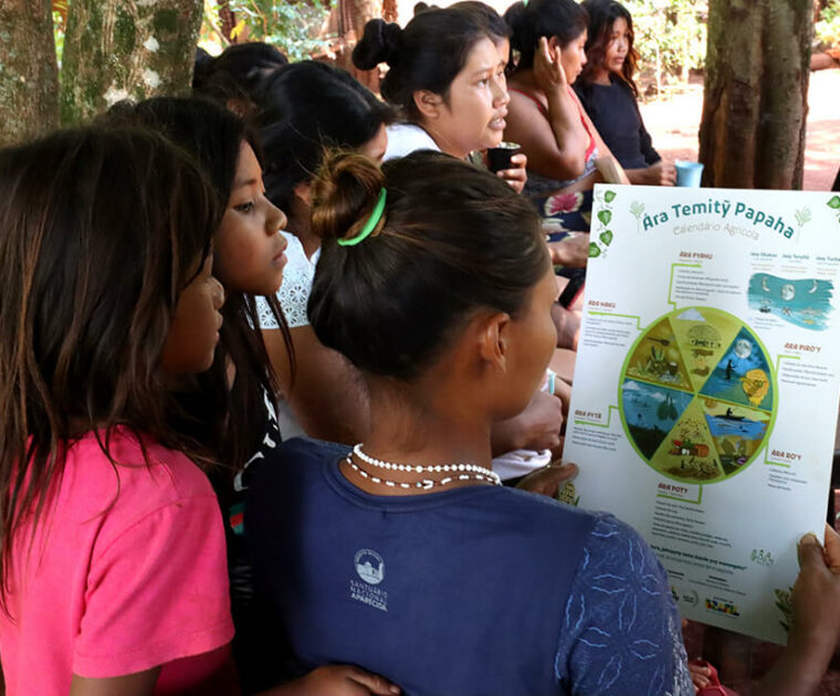 Calendário Agrícola do Povo Ava Guarani