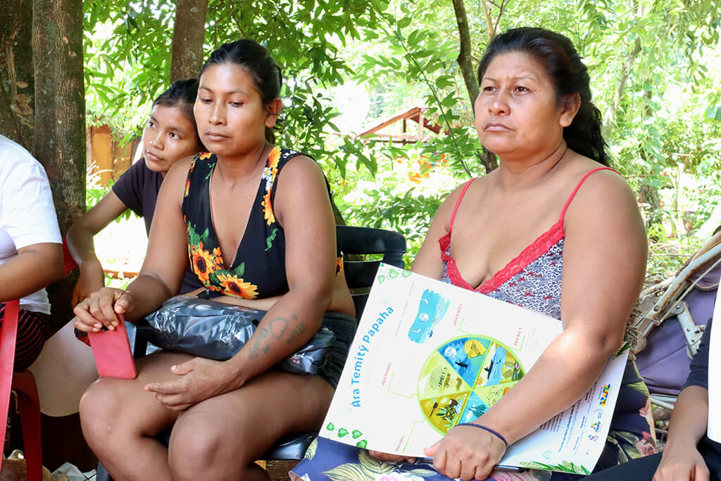 OPANÁ lança calendário agrícola baseado nos ciclos tradicionais do povo Avá Guarani 6 05